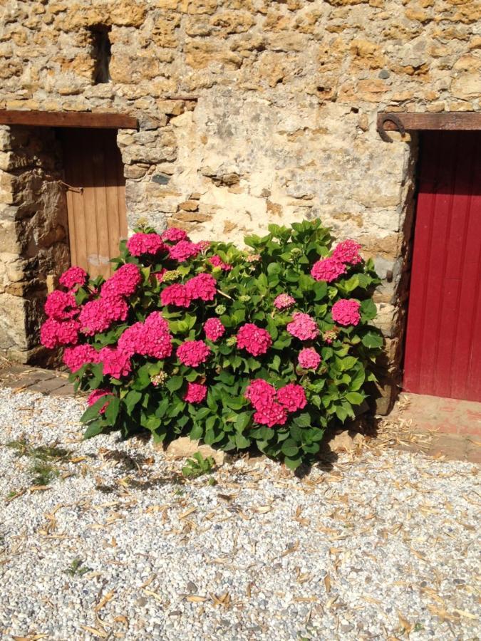Le Clos De La Viniere Jard-sur-Mer Luaran gambar